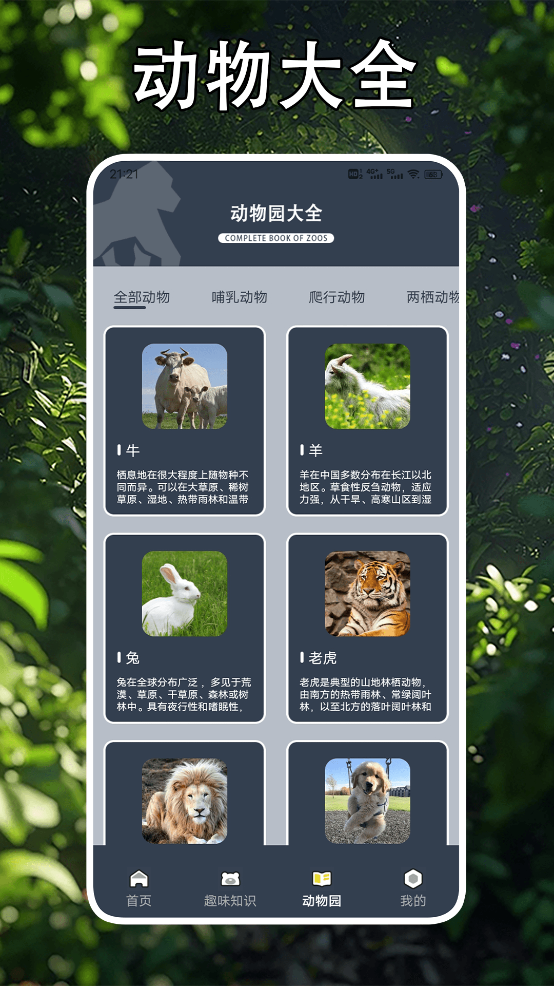 畸形动物园
