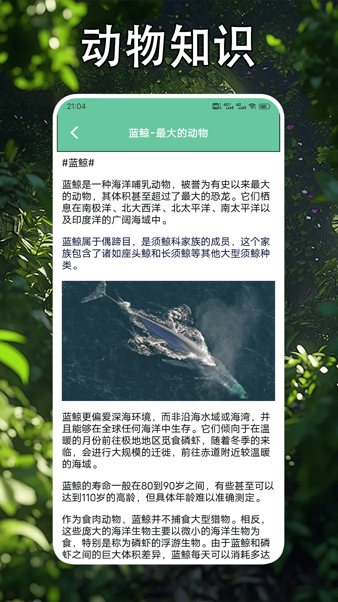 畸形动物园