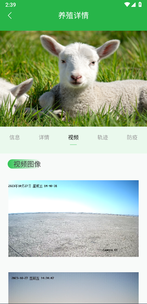 我在草原有只羊