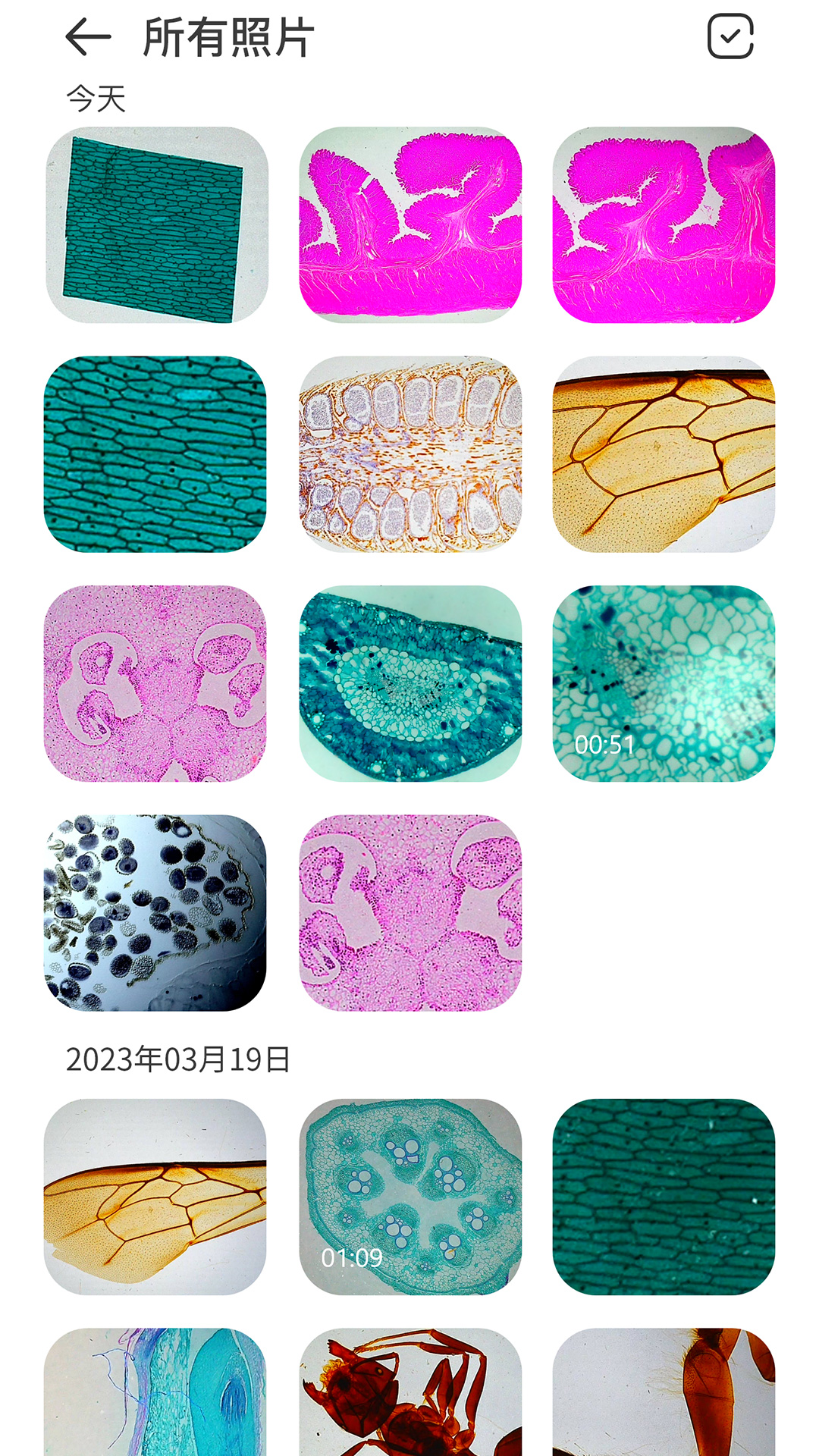 阿蛋科学探索截图