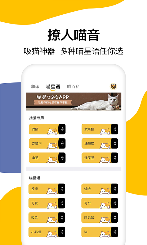 猫语翻译截图