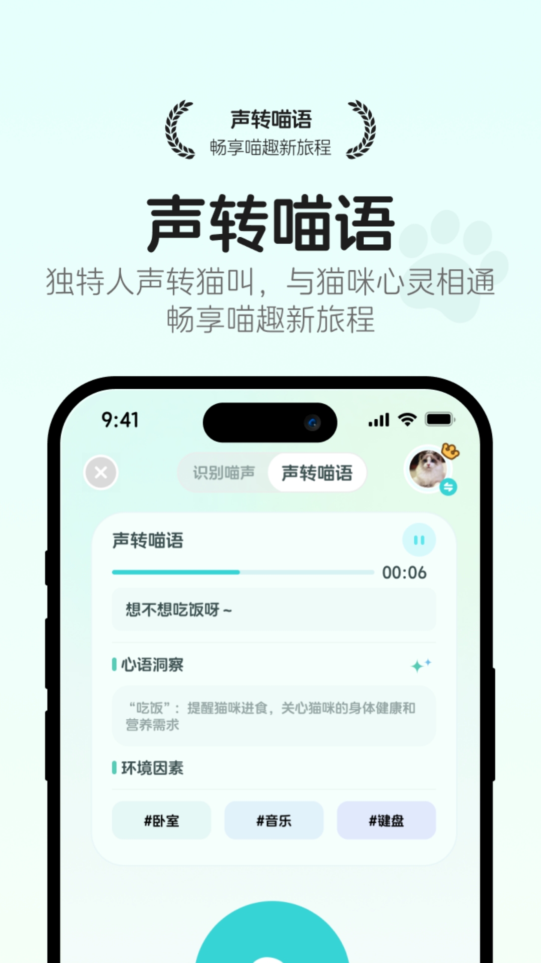 猫语翻译空间
