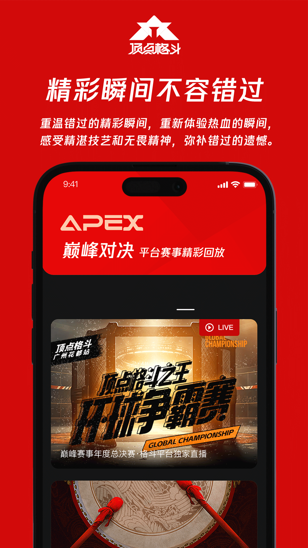顶点格斗