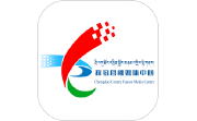 大美称多段首LOGO