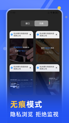 秘密浏览器截图1