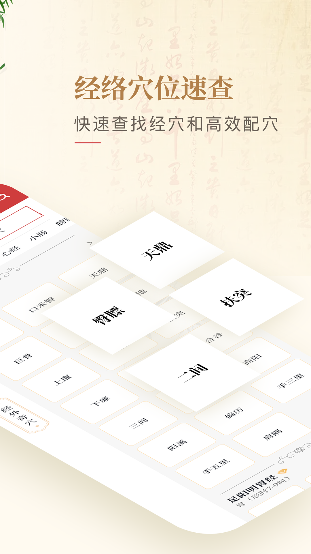 人体穴位图解截图