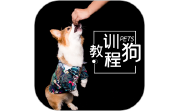 训狗教程段首LOGO