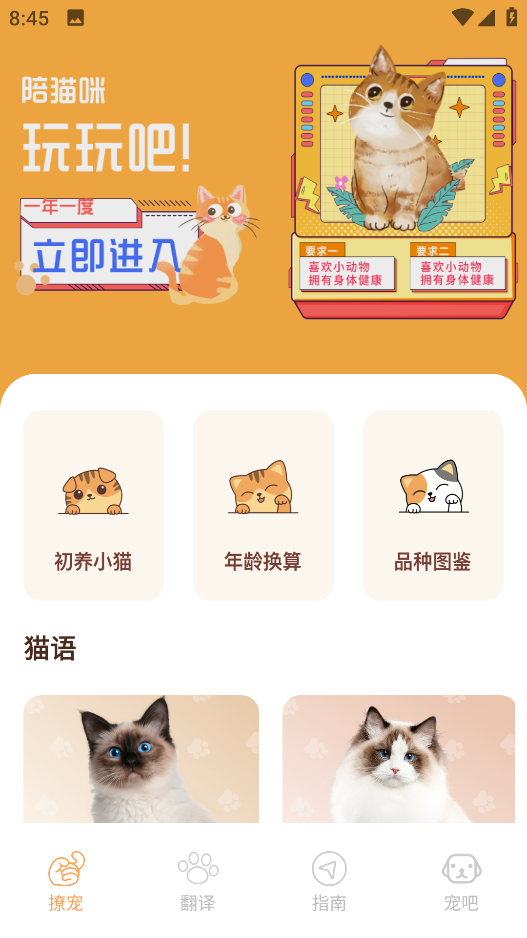 Peppycat猫语翻译器截图