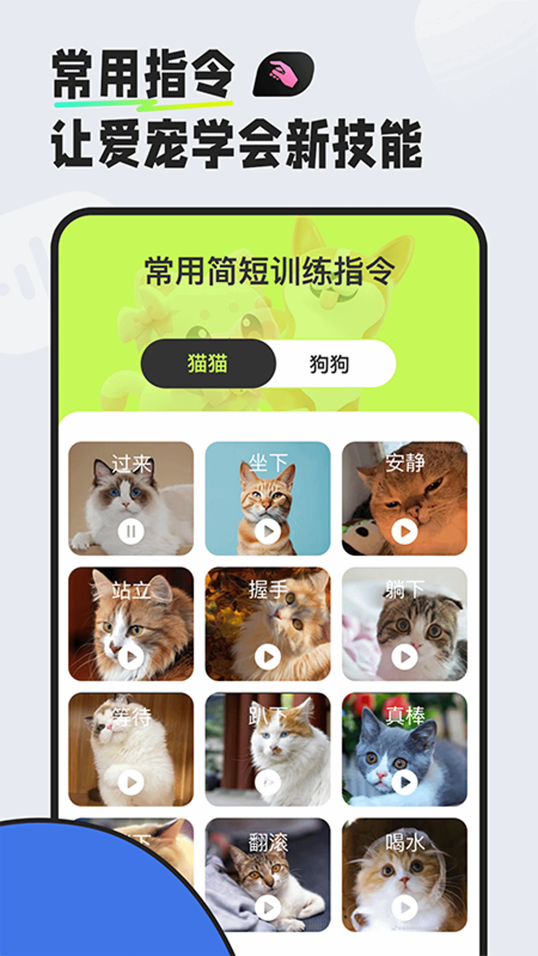 猫狗对话翻译器