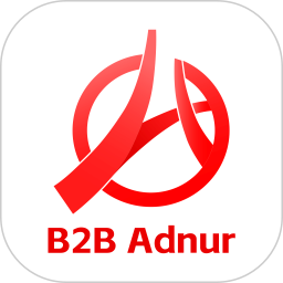 B2B Adnur