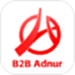 B2B Adnur