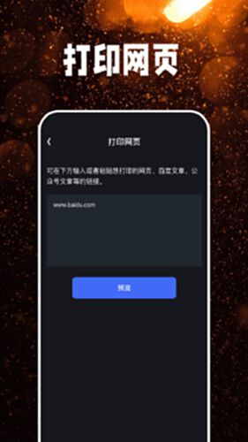copilet截图3