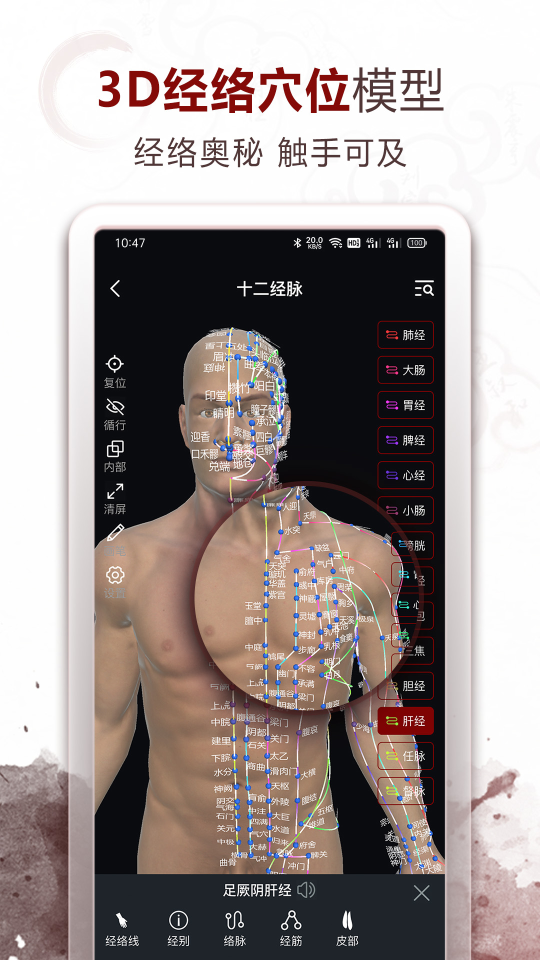 中医经络穴位截图