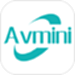 Avmini