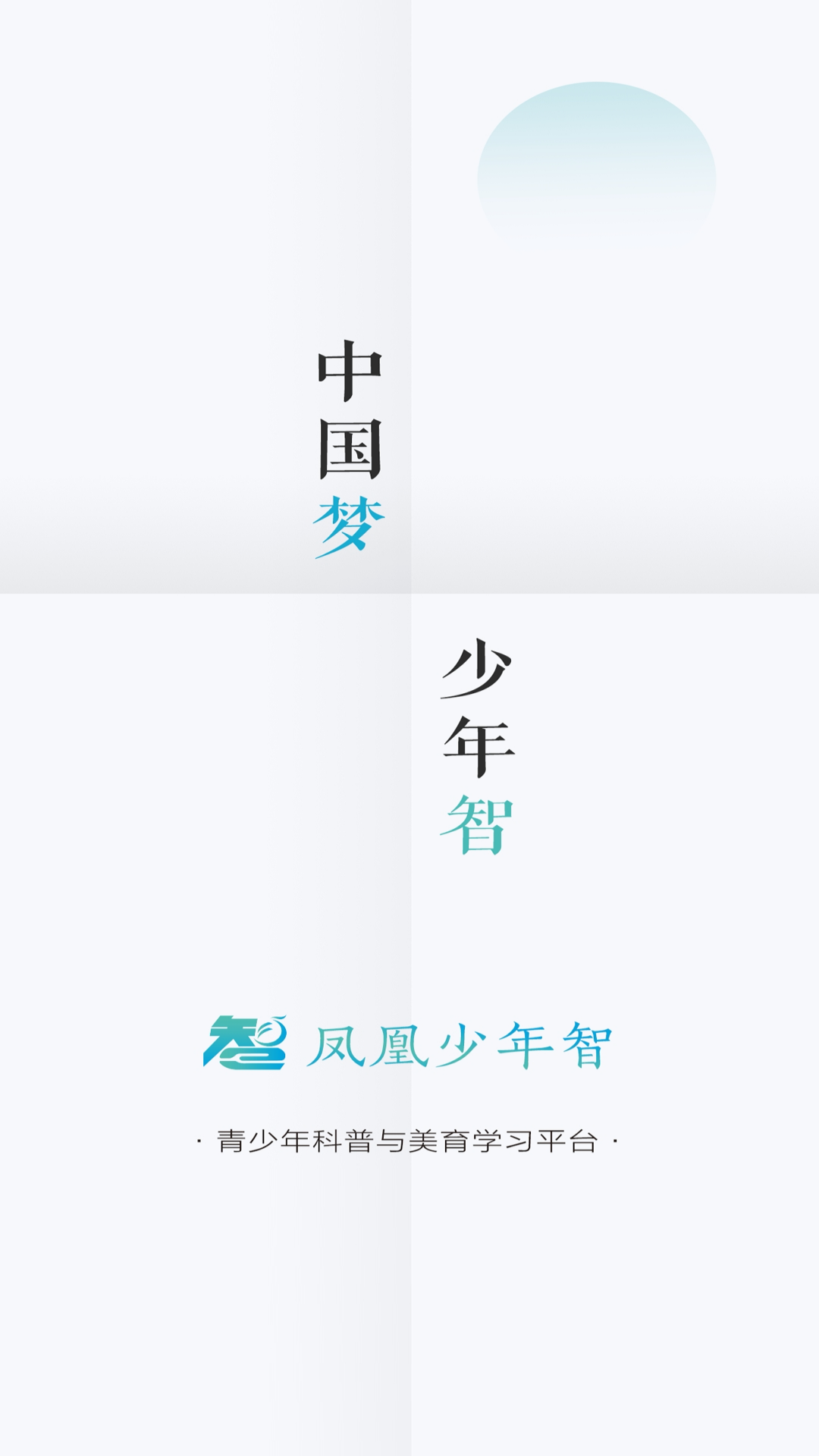 凤凰少年智