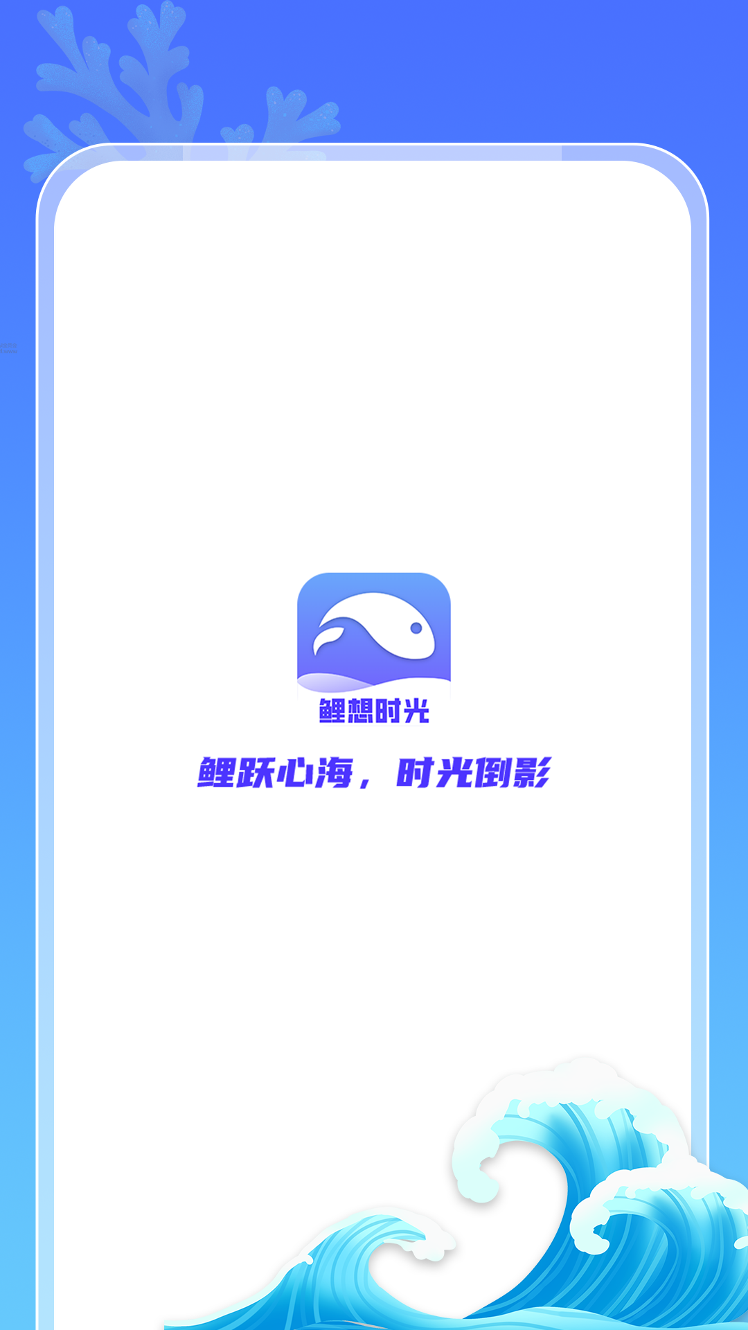 鲤想时光截图