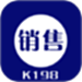 k198销售出库单