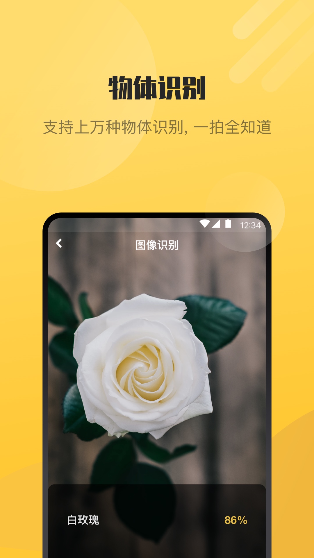 AI爱识别截图