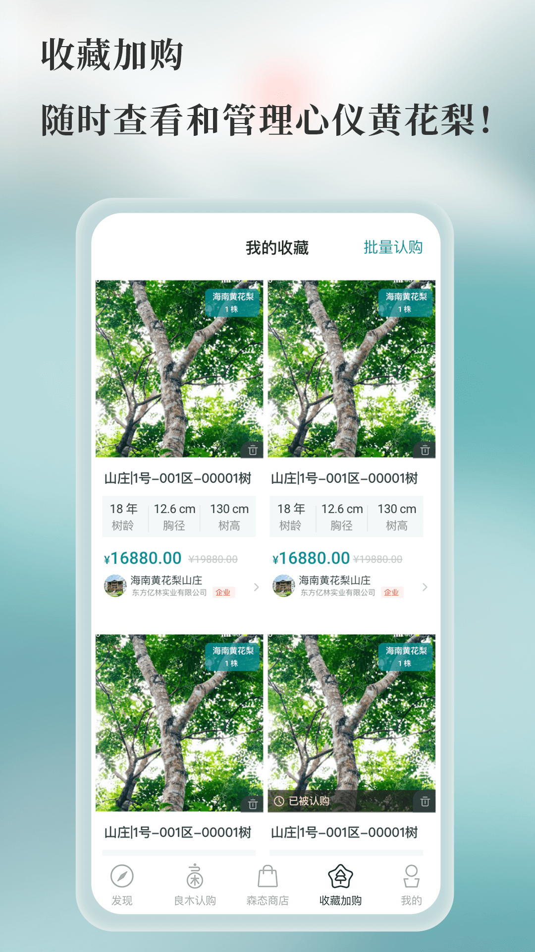 良木森林