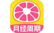 柚子大姨妈段首LOGO