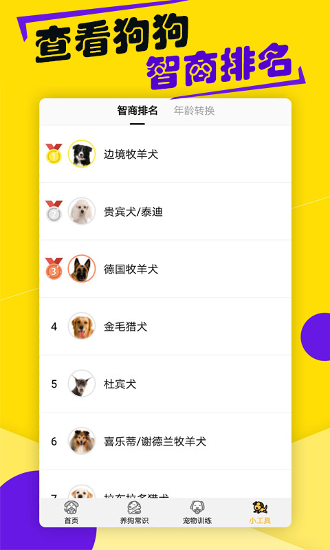 狗语翻译器截图