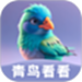 青鸟看看
