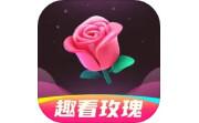 趣看玫瑰段首LOGO