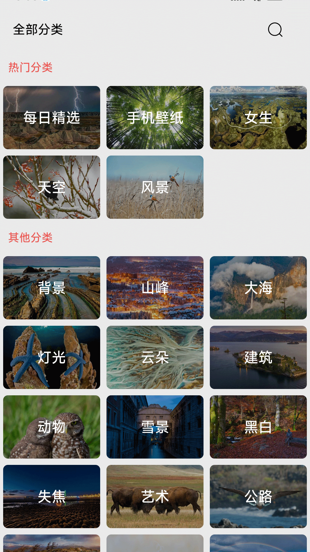 伞果壁纸
