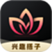 万花
