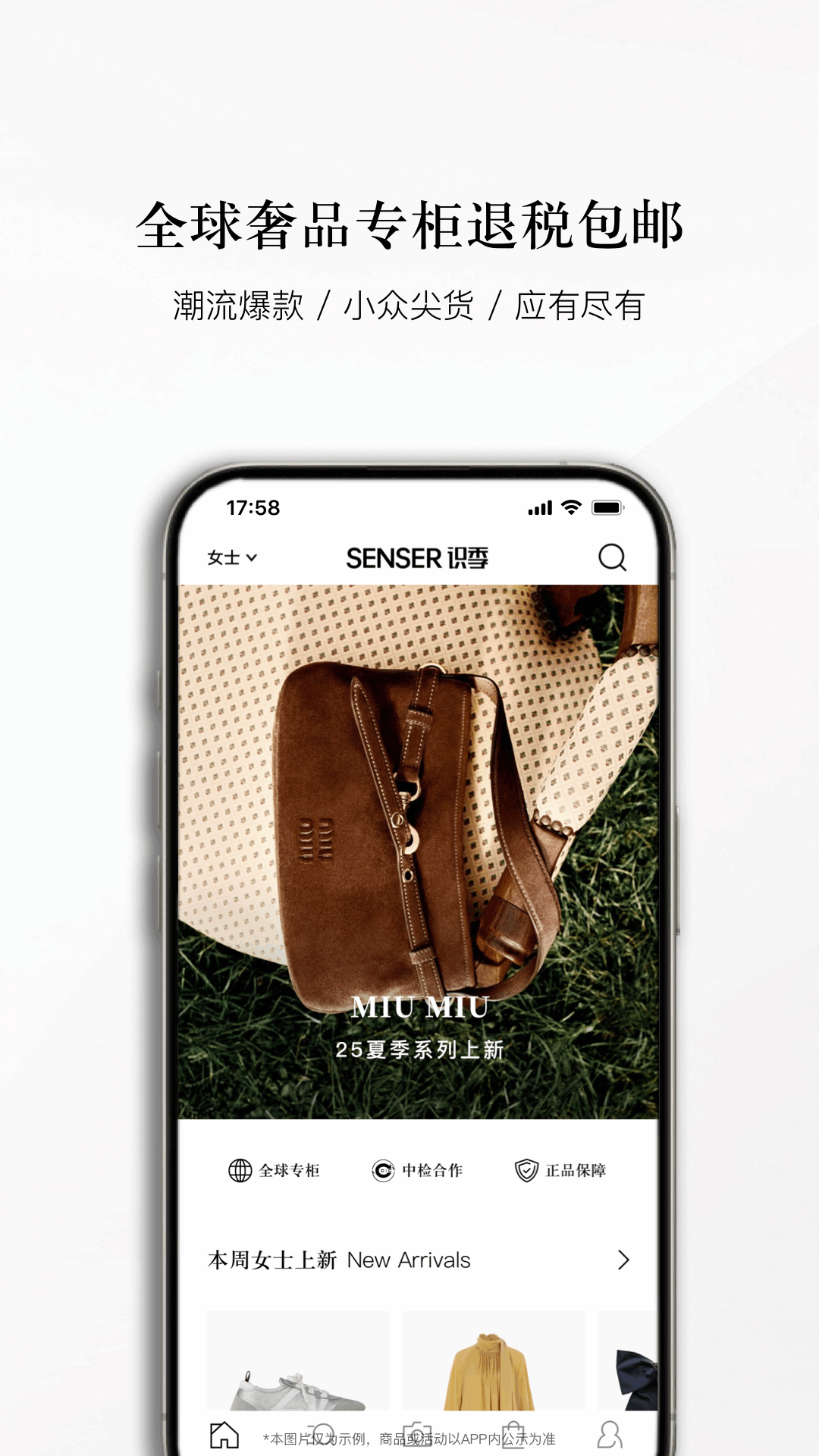 识季电脑版截图