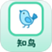 知鸟