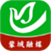 今日蒙城