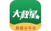 大救星电脑版段首LOGO