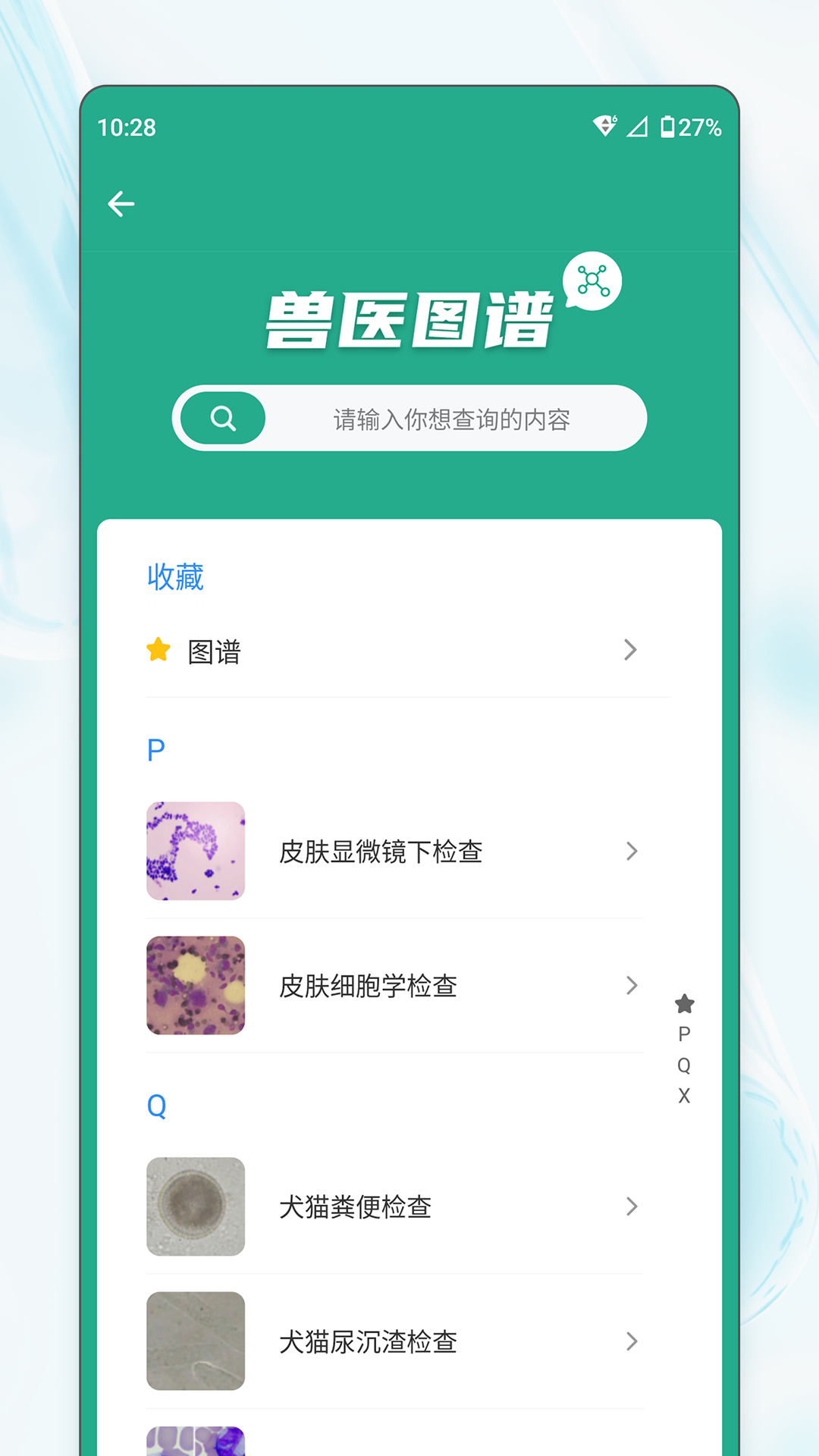 宠壹堂