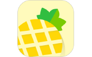 菠萝书屋电脑版段首LOGO
