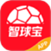 智球宝