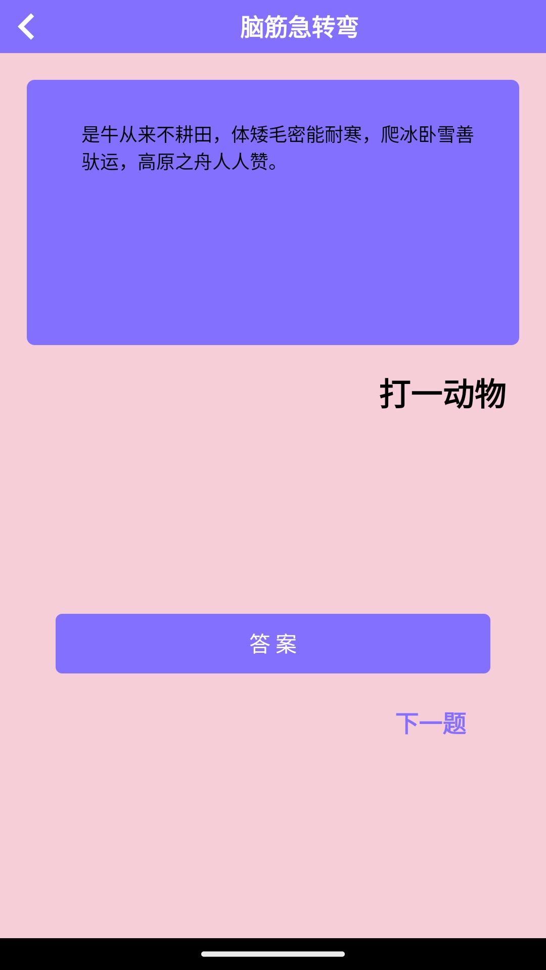 兔子先生