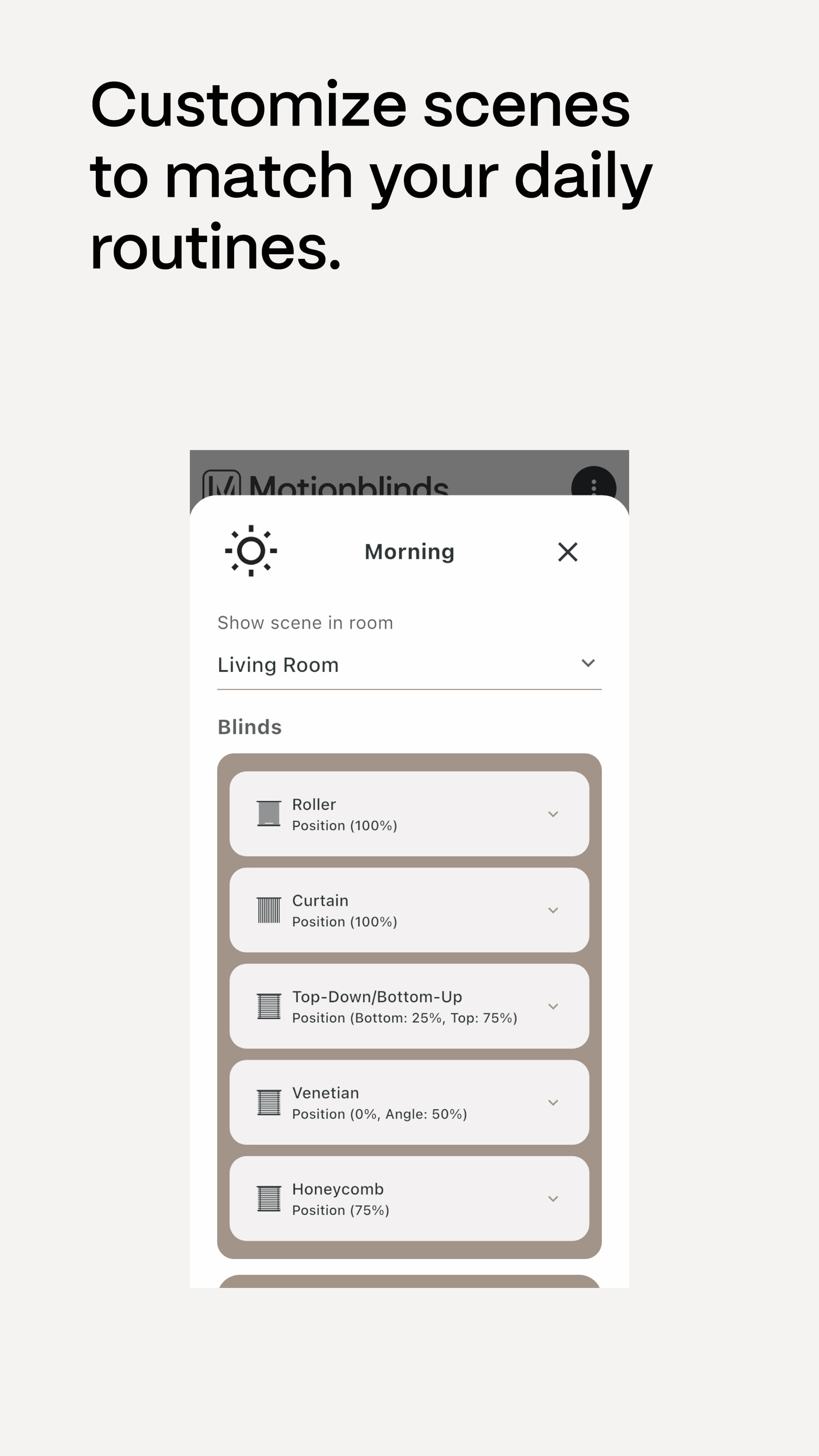 Motionblinds Matter Bridge