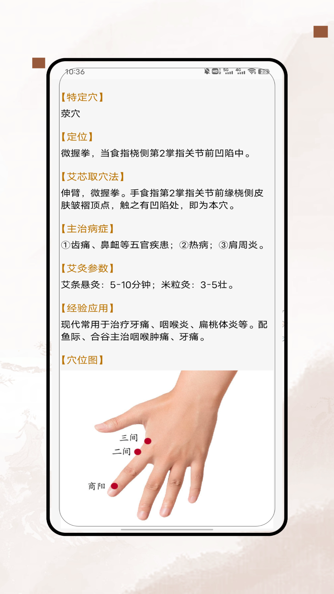 经络穴位图