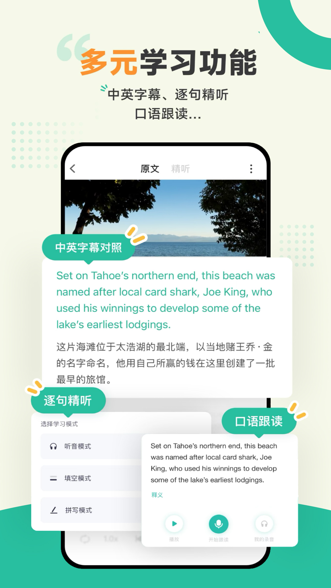 扇贝听力