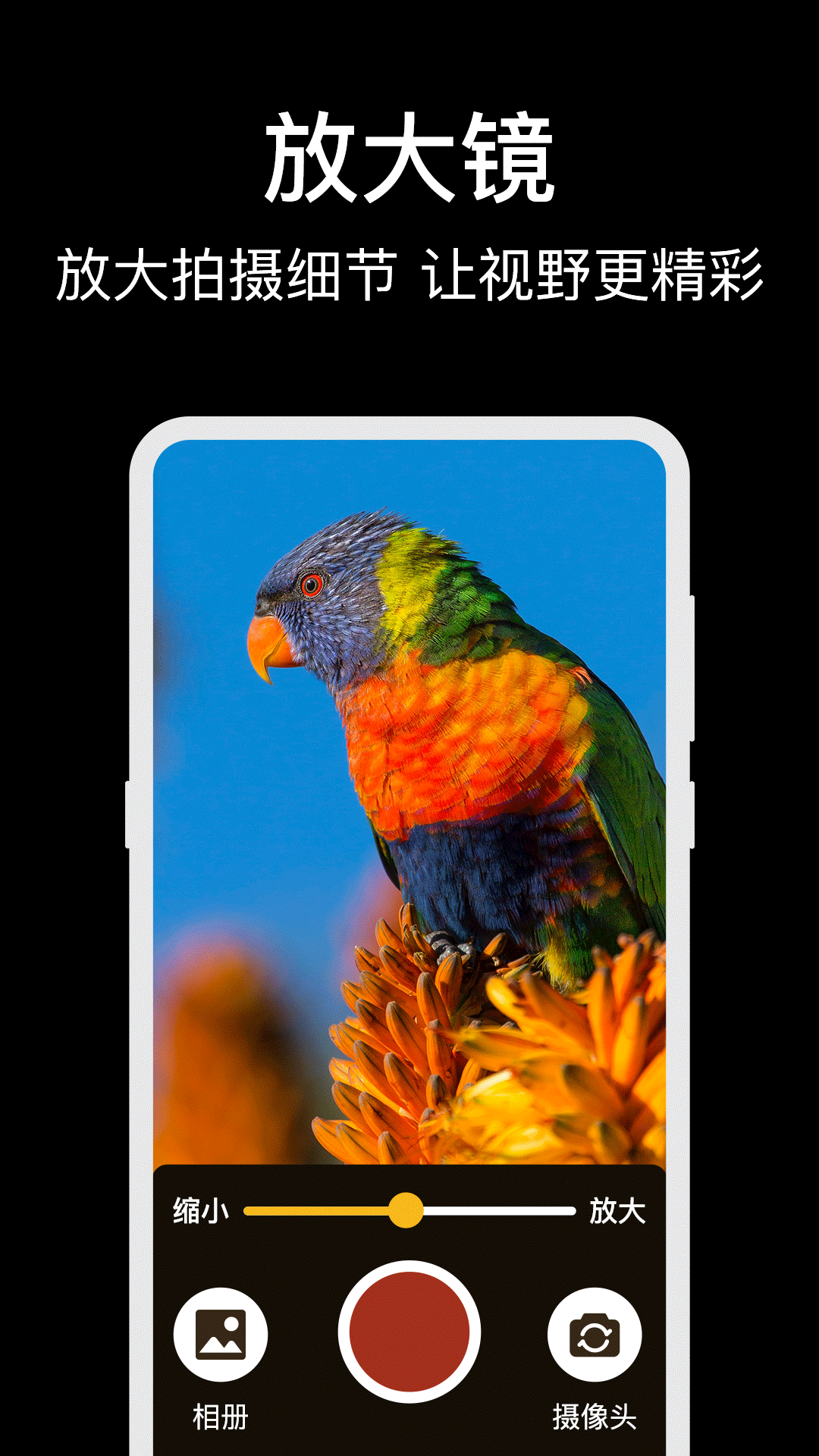 放大镜Glass老人桌面电脑版截图