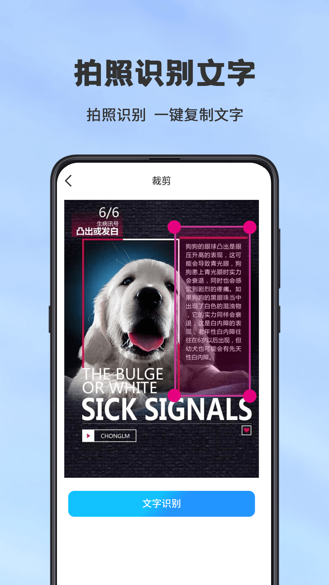 手机扫描仪电脑版截图