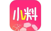 小料电脑版段首LOGO