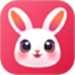 兔玩