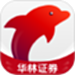海豚财富