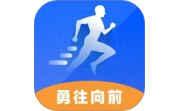 勇往向前电脑版段首LOGO