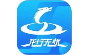 龙行无忧电脑版段首LOGO