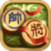象棋高手对弈