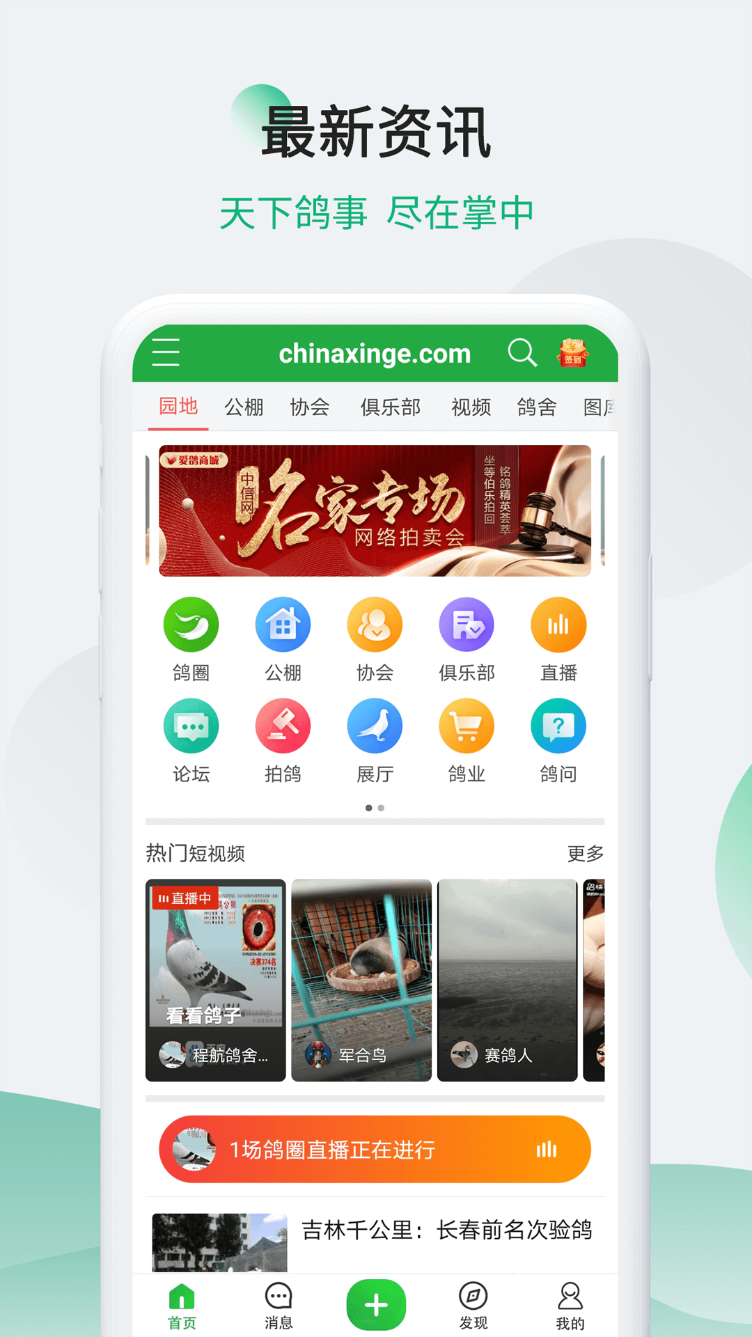 中信网-信鸽信息网