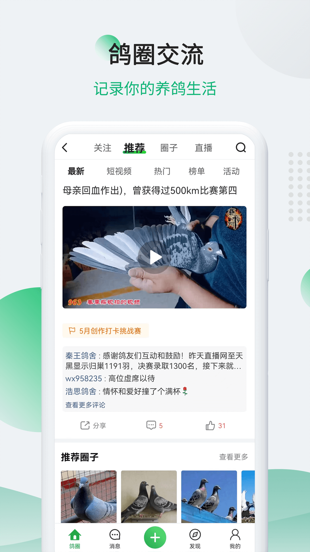 中信网-信鸽信息网